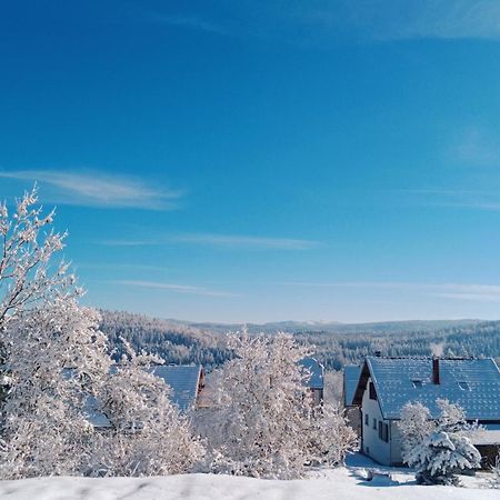 Gite Des Roches La Chaux-du-Dombief Zewnętrze zdjęcie